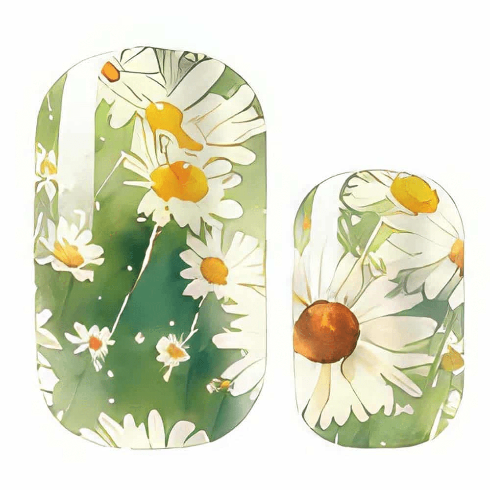 Green daisy nail wrap design close-up showing white flowers on sage background
