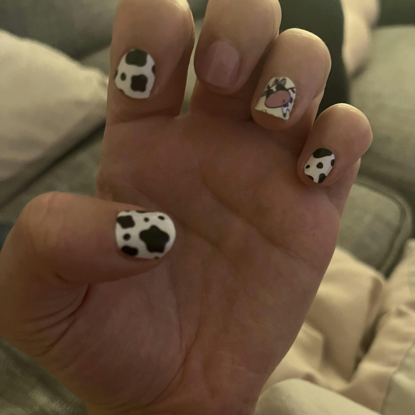 Black and white cow print nail wraps applied on hand showing spotted pattern