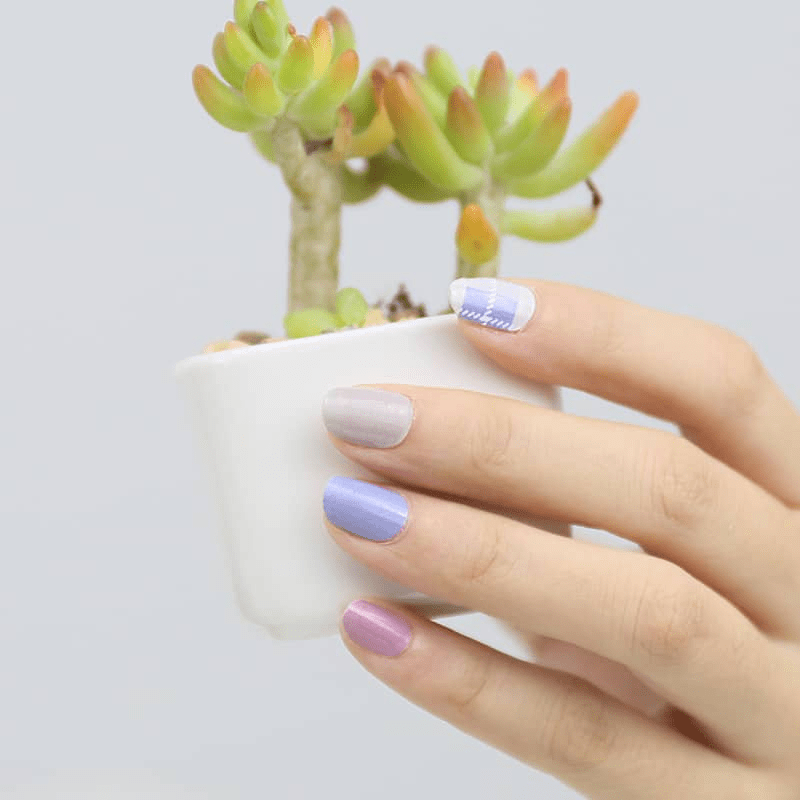 Scottish tartan nail wraps in purple blue pink on hand near succulent plant